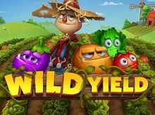 iWild Casino screenshot